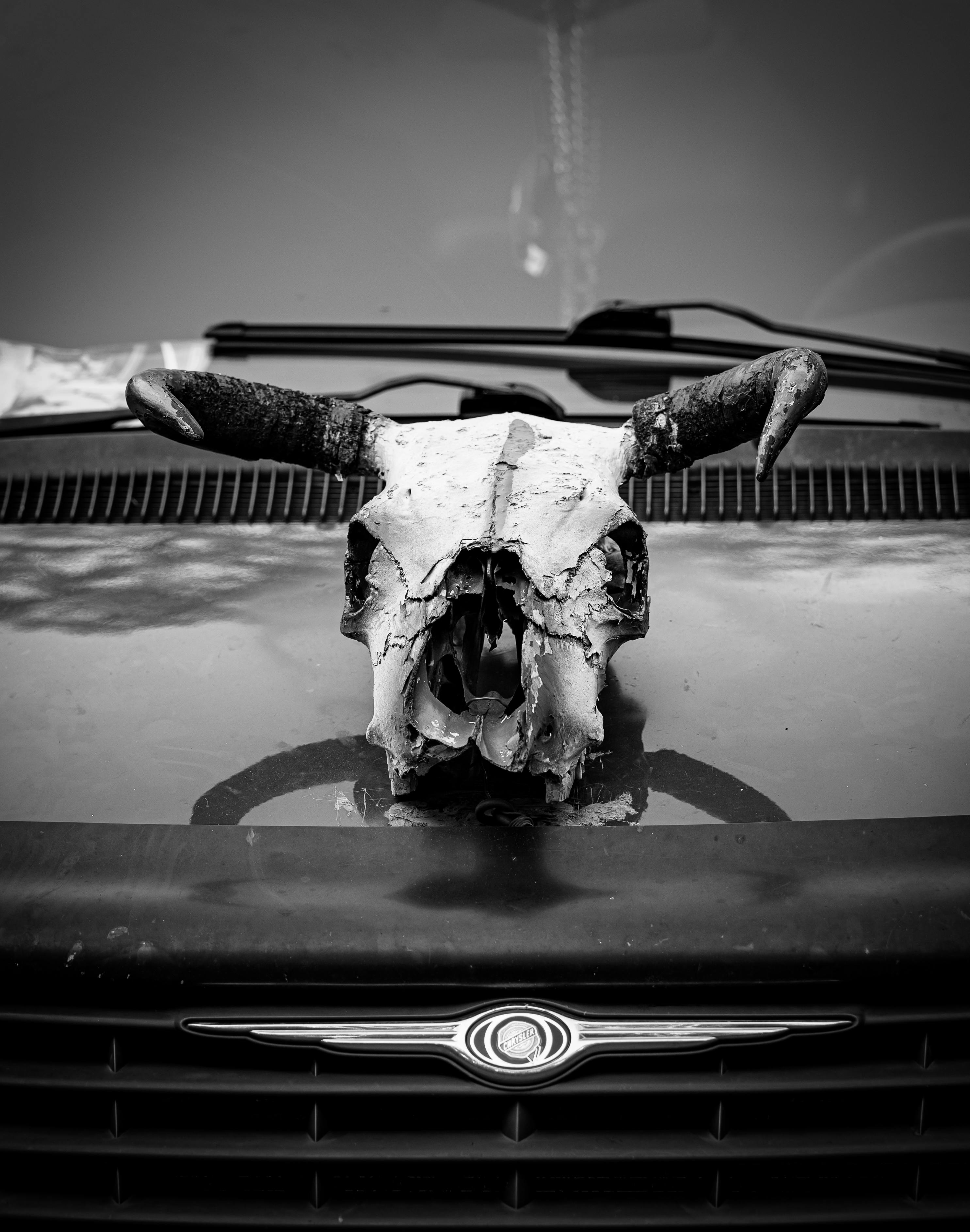 grátis Foto profissional grátis de abstrair, acessório, apático Foto profissional