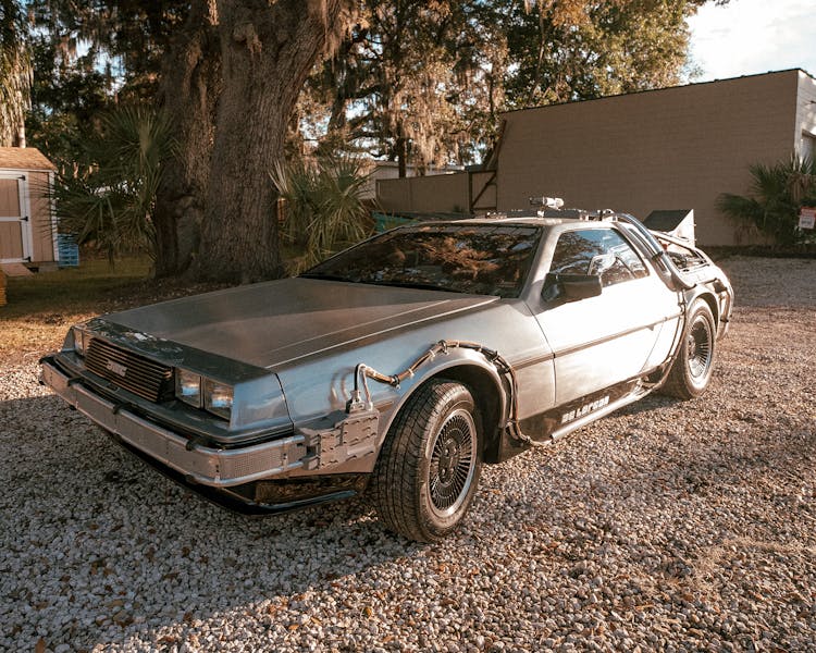 Delorean Car Parked Near Brown Tree