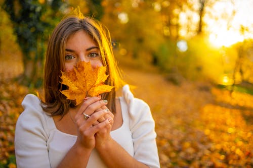 Free Close-Up Shot of a Woman Holding Maple Leaf Stock Photo