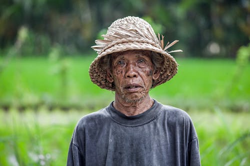 Fotos de stock gratuitas de anciano, camisa, campo