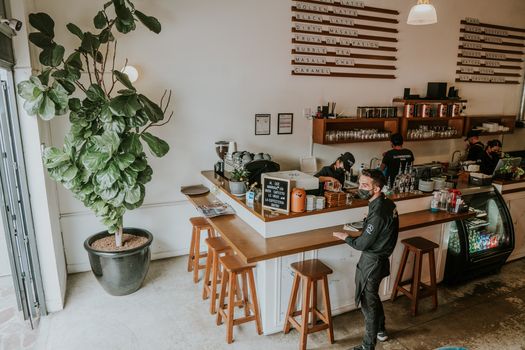 Chic café interior with a barista working next to a large potted plant, offering a welcoming ambiance.