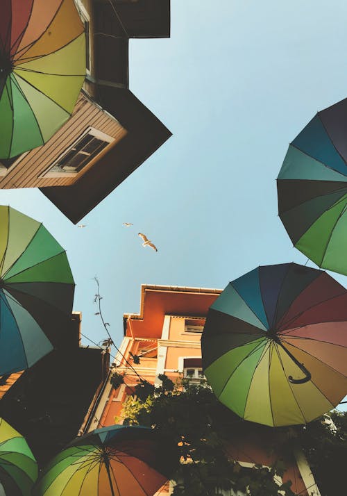 bezplatná Základová fotografie zdarma na téma barevný, deštník, létání Základová fotografie