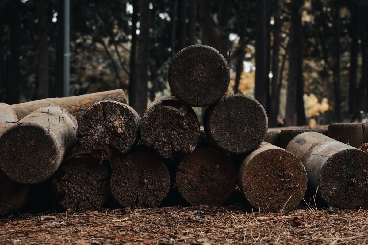 Ground-contact lumber posts stacked at a lumber yard