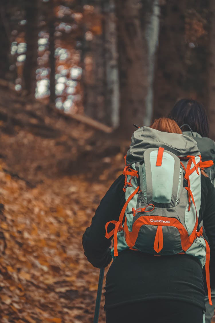 A Person With A Backpack In A Forest