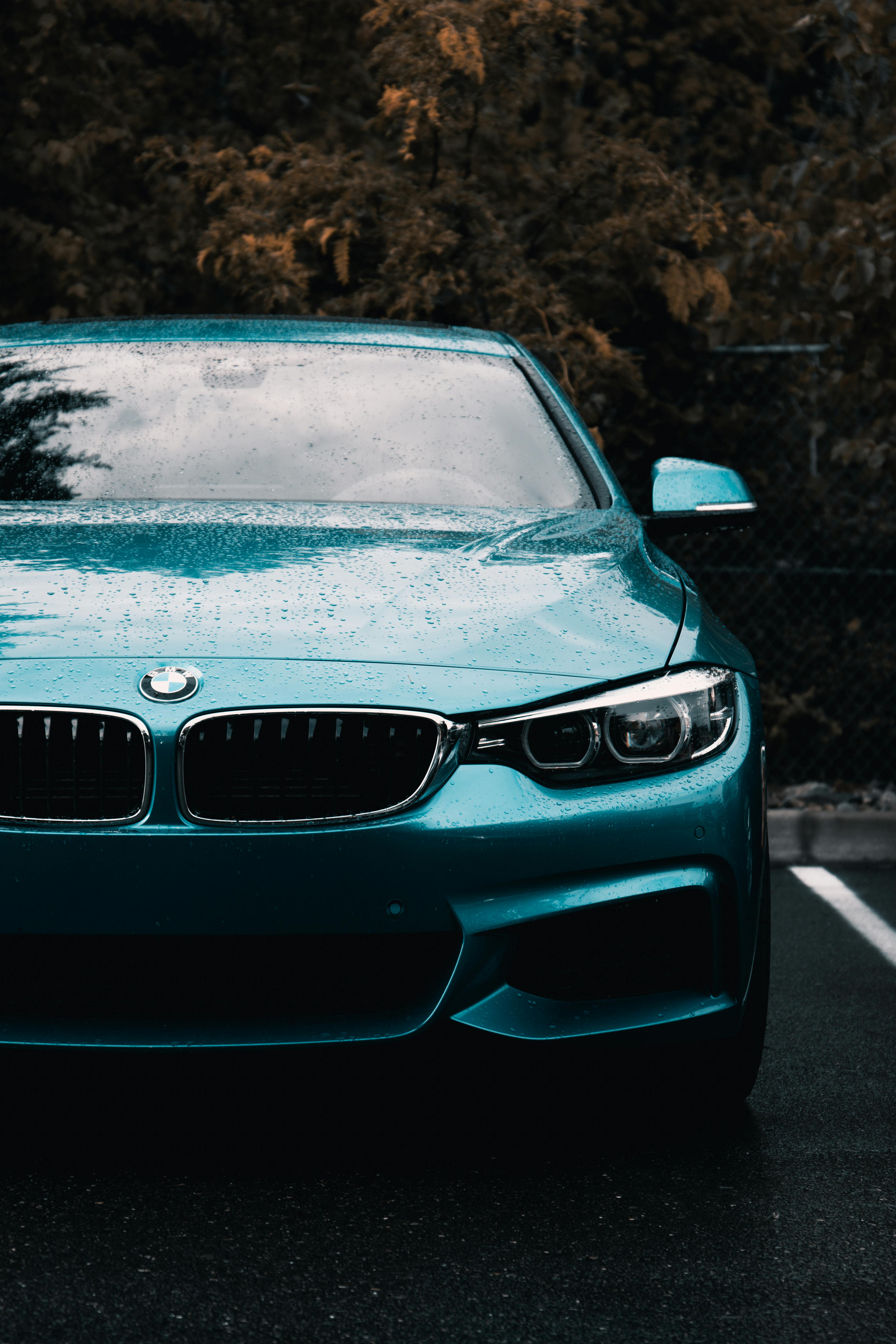 Orange Bmw Car Beside Blue Bugatti Car · Free Stock Photo Orange Bmw Car Beside Blue Bugatti Car · Free Stock Photo