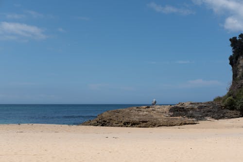 Бесплатное стоковое фото с берег моря, выходной, прекрасный день