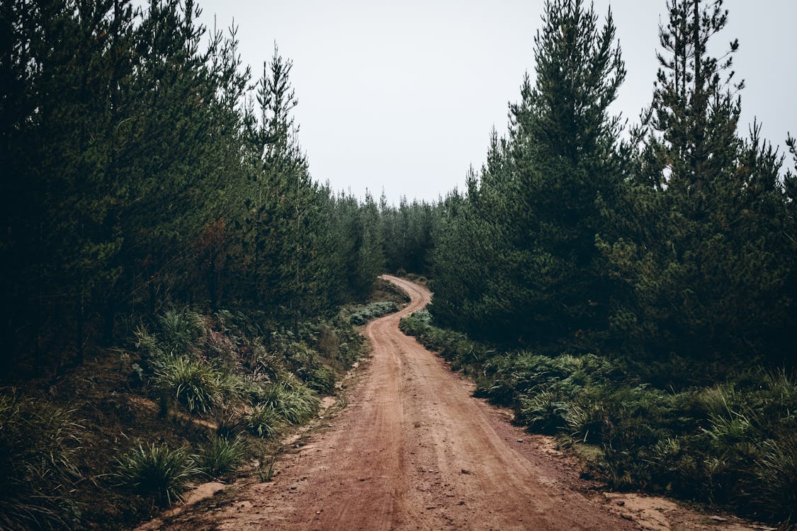 Dangers of Driving on a Rough Terrain