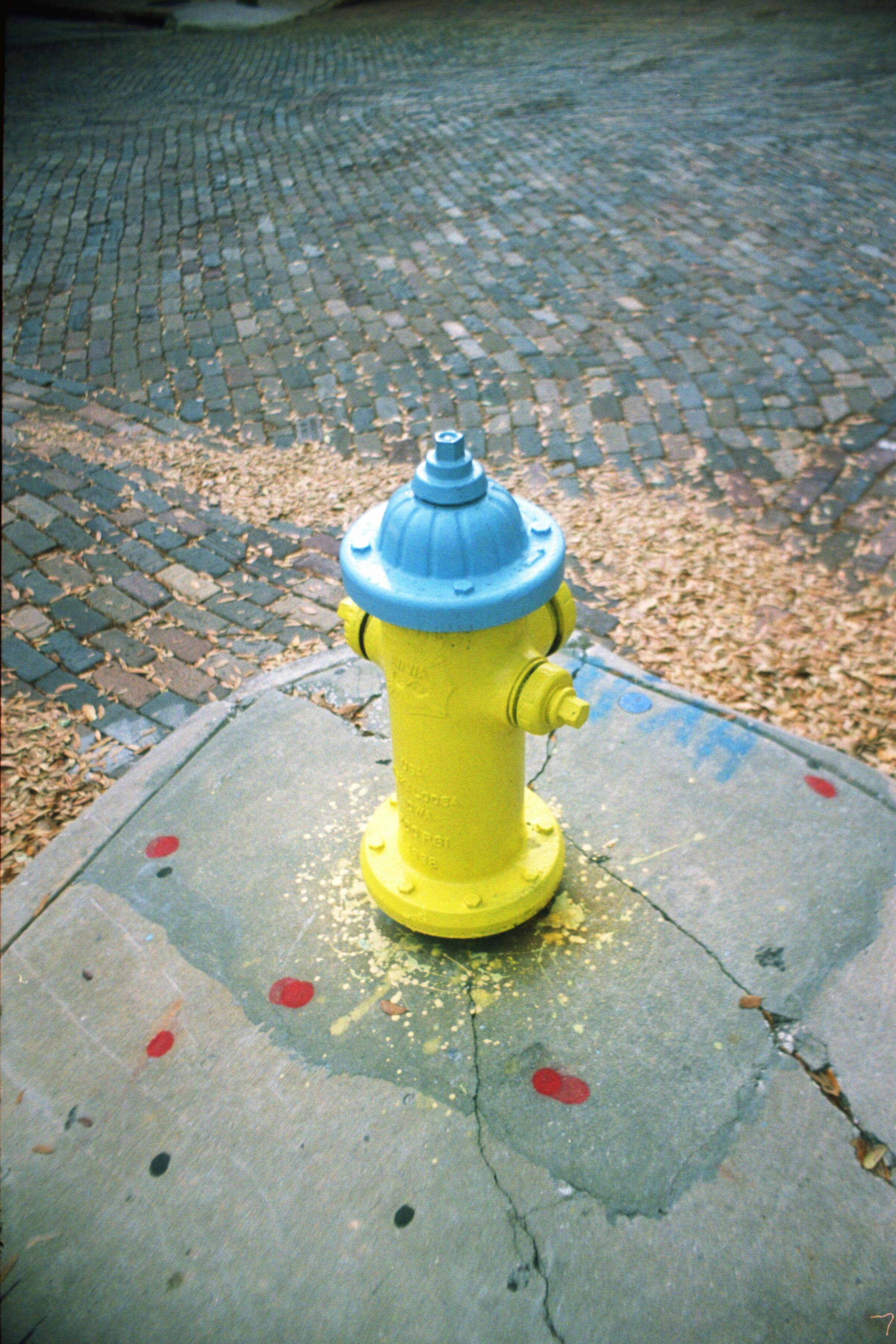 Free stock photo of 35mm, film, grain