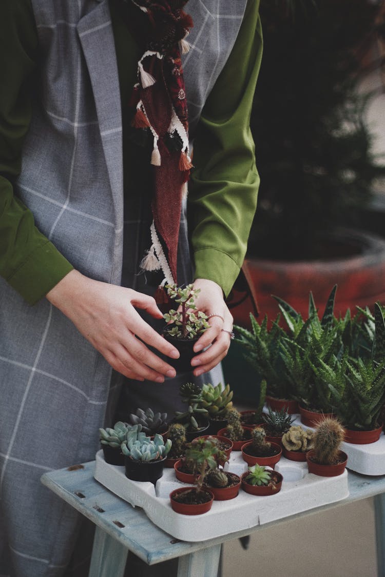 Close Up On Hands Holding Small Flower In Pot