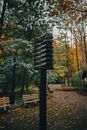 Black Wooden Bench Near Trees