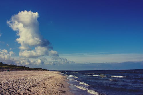 無料 白い雲と青い空の砂の横にある水域 写真素材