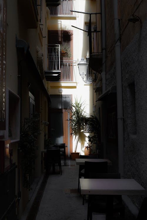 Sunlight in a Narrow Alley Between Buildings