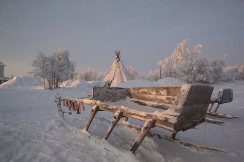 Sledge on Snow