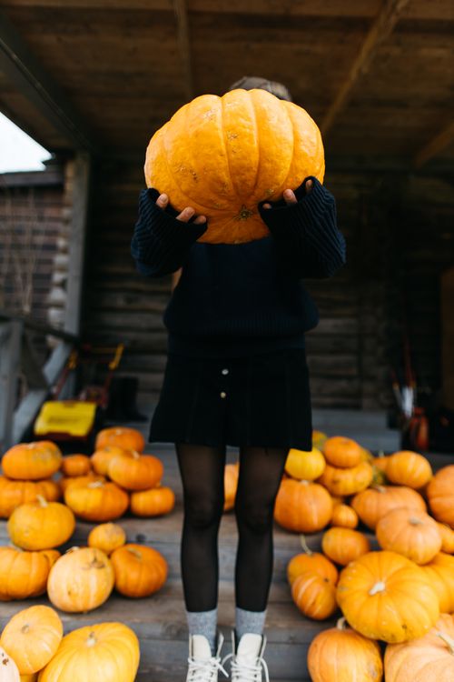 Free Person holding a large pumpkin surrounded by harvested pumpkins on a wooden porch. Stock Photo