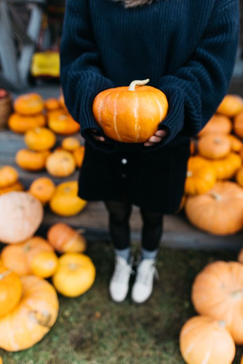 Free Woman in fall attire holding a pumpkin among many, symbolizing autumn harvest Stock Photo