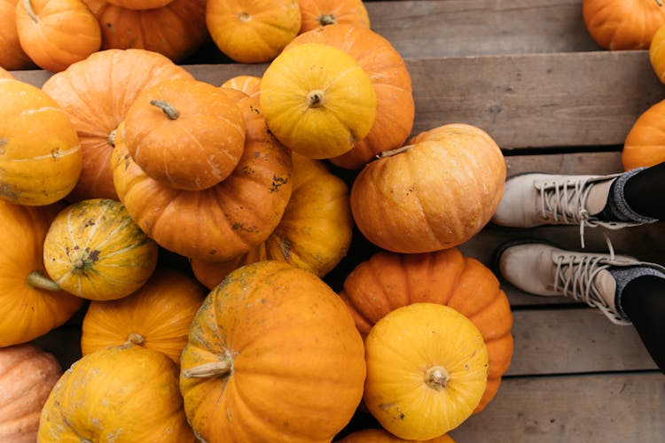 Close Up Photo Of Pumpkins