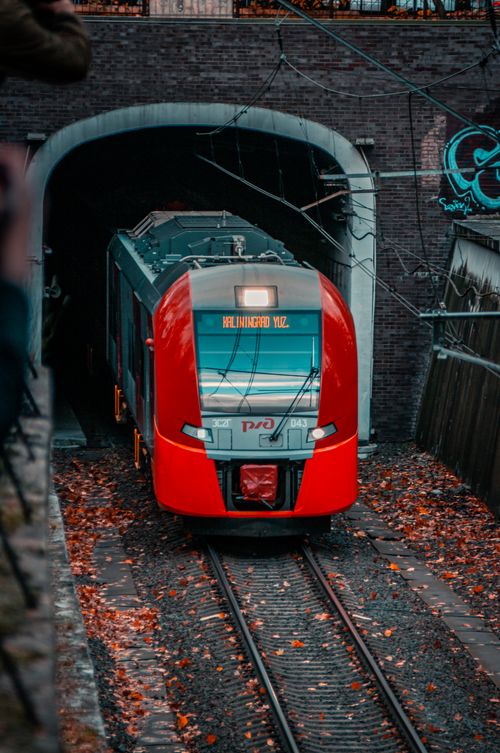 Free A vibrant red train emerges from a tunnel amidst autumn leaves in Kaliningrad, Russia. Stock Photo