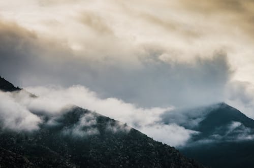 Kostnadsfri bild av berg, dagsljus, dimma