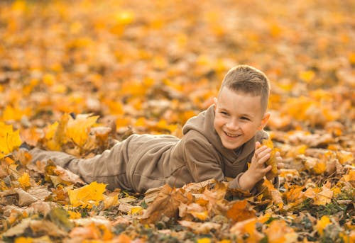 Free A Boy Lying on Fallen Leaves  Stock Photo
