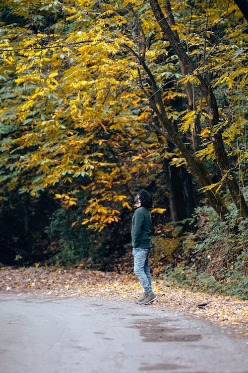 Man on a Road in Forest in Fall 