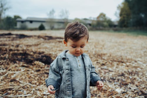 A Boy in Blue Denim Jacket