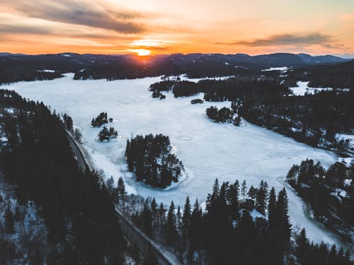 Snowfield Near Green Trees in Aerial Shot