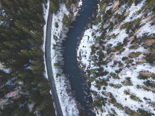 Body of Water Near Green Trees