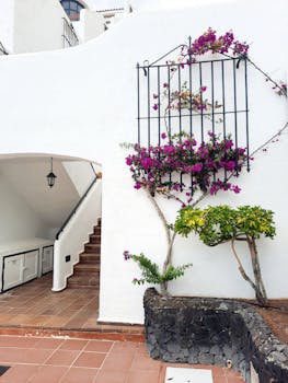 Beautiful white villa with vibrant bougainvillea climbing the wall. Ideal for travel or architecture themes.
