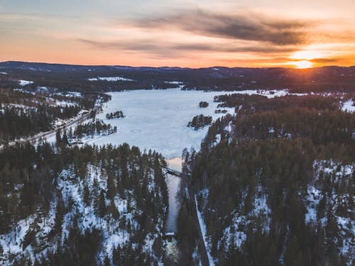Aerial Photo Of Snowy Forest During Sunset