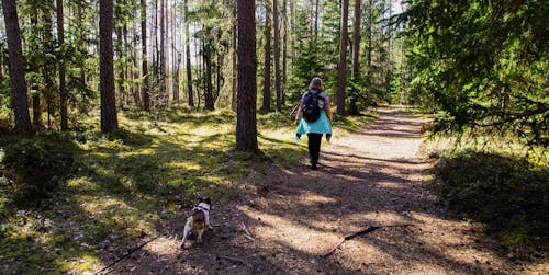 女人穿著黑色的背包和她的狗在森林裡散步