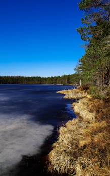 蔚蓝的天空下，一片宁静的冰湖被常绿树木环绕