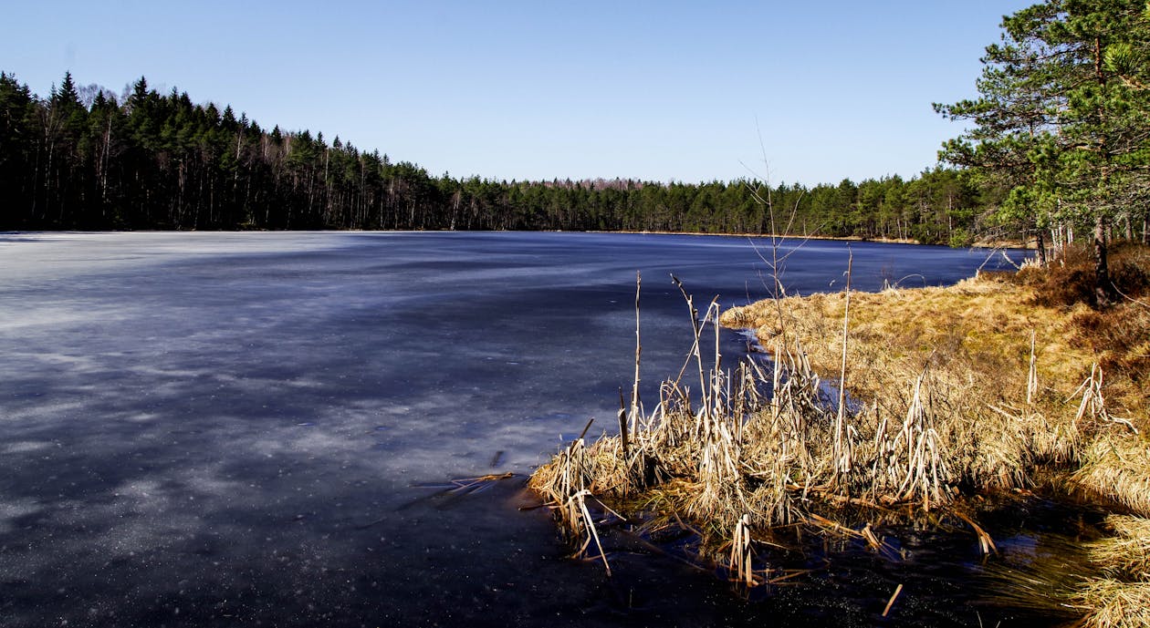 Kostnadsfri bild av dagsljus, falla, flod