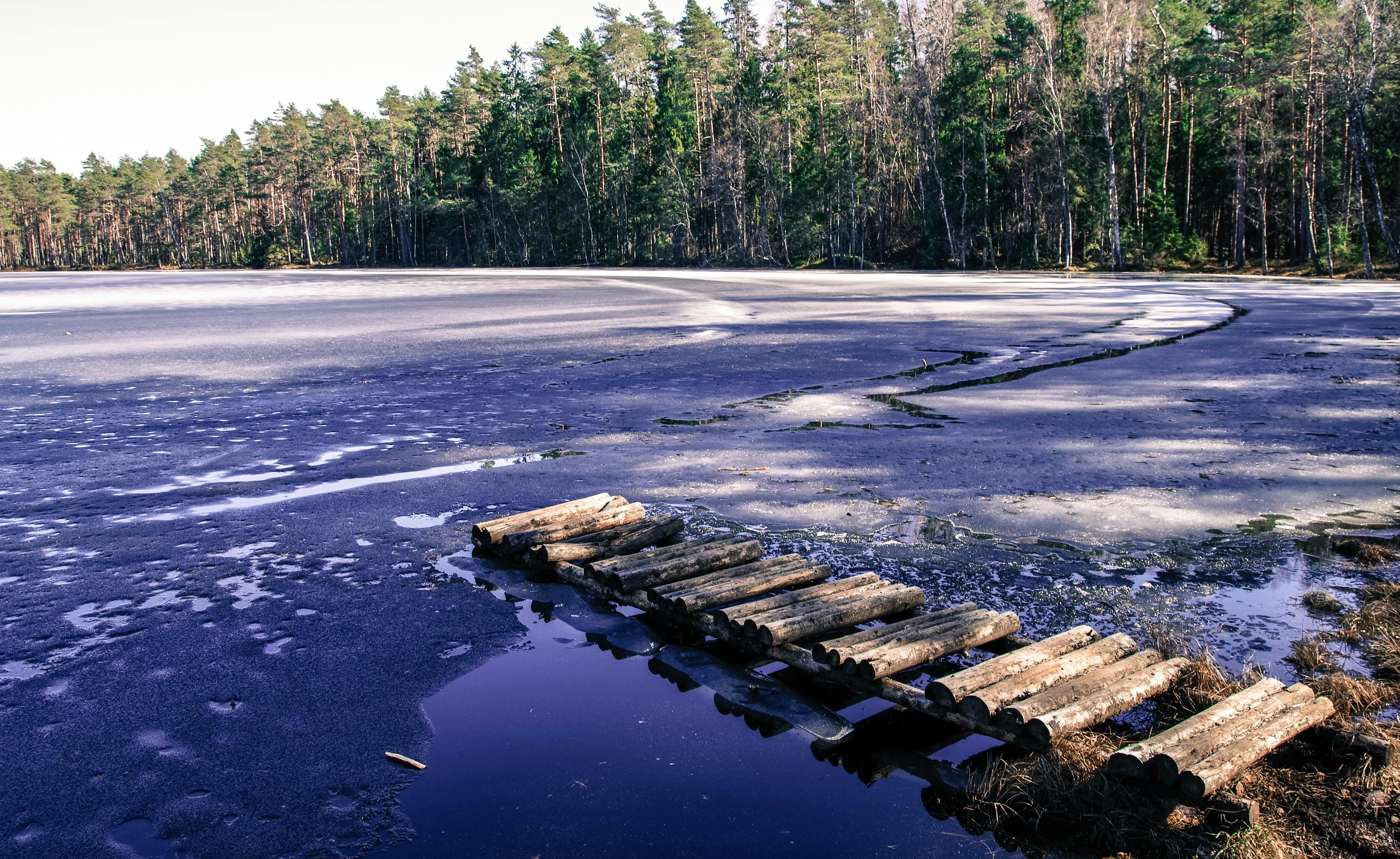 冬季的景色宁静，湖面结冰，一条木制小路通往森林