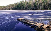 一片宁静的冬季景色中，冰冻的湖泊旁，有条木制小路通向森林