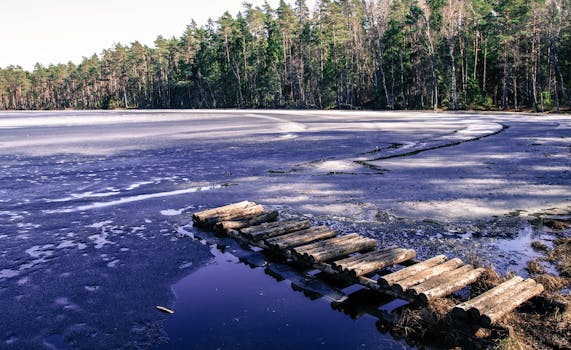 冬季的景色宁静，湖面结冰，一条木制小路通往森林