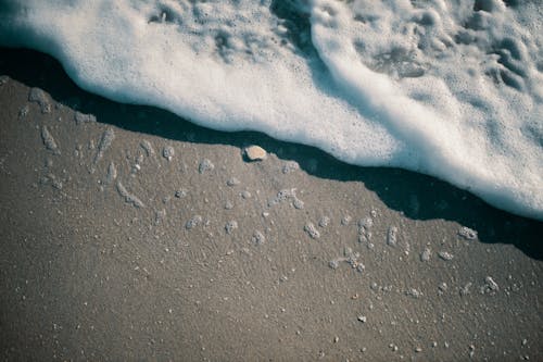 A Sea Foam on the Sand