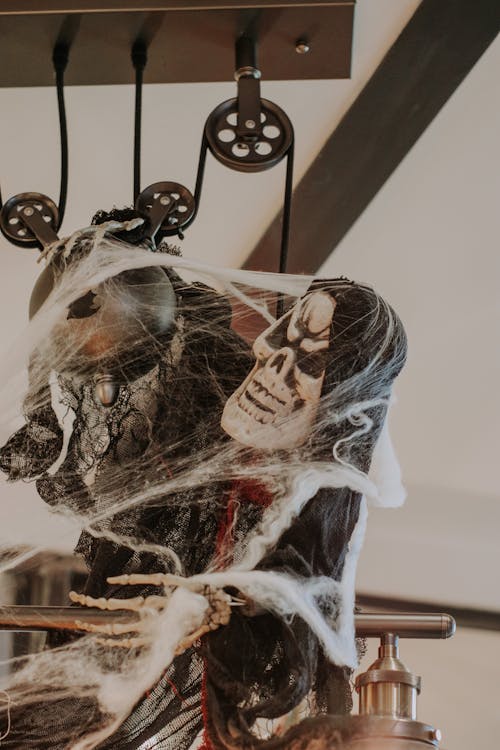 Základová fotografie zdarma na téma halloween, horor, kostra