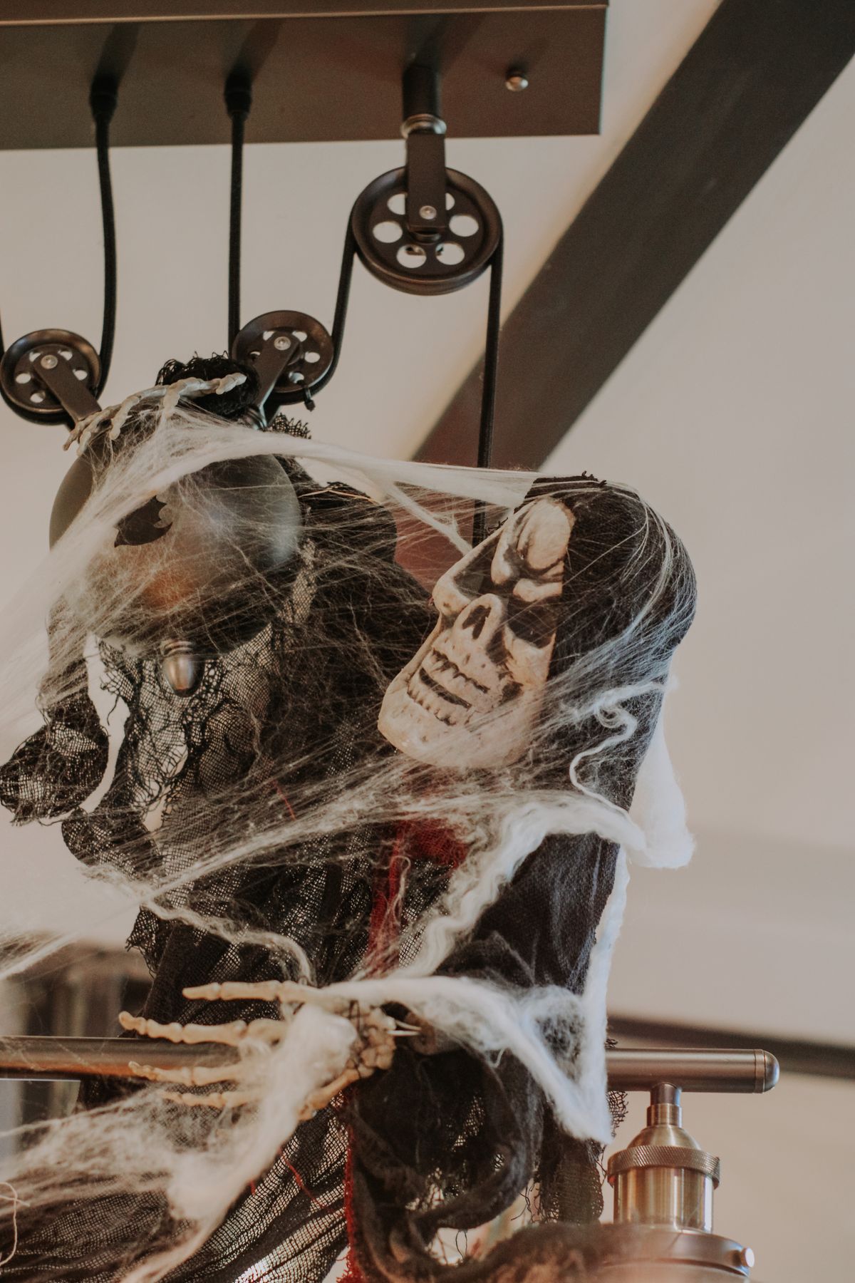 Halloween skeleton decoration with cobwebs