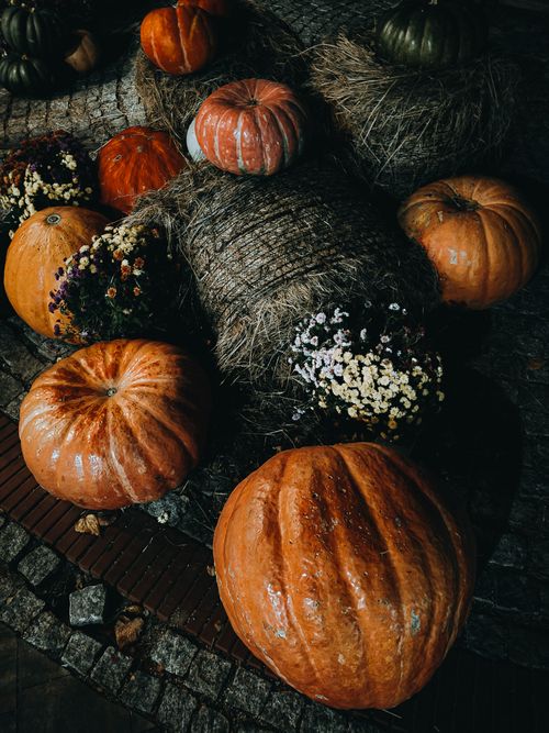 Free Close-up of pumpkins and hay bales in a festive autumn arrangement, showcasing seasonal harvest charm. Stock Photo