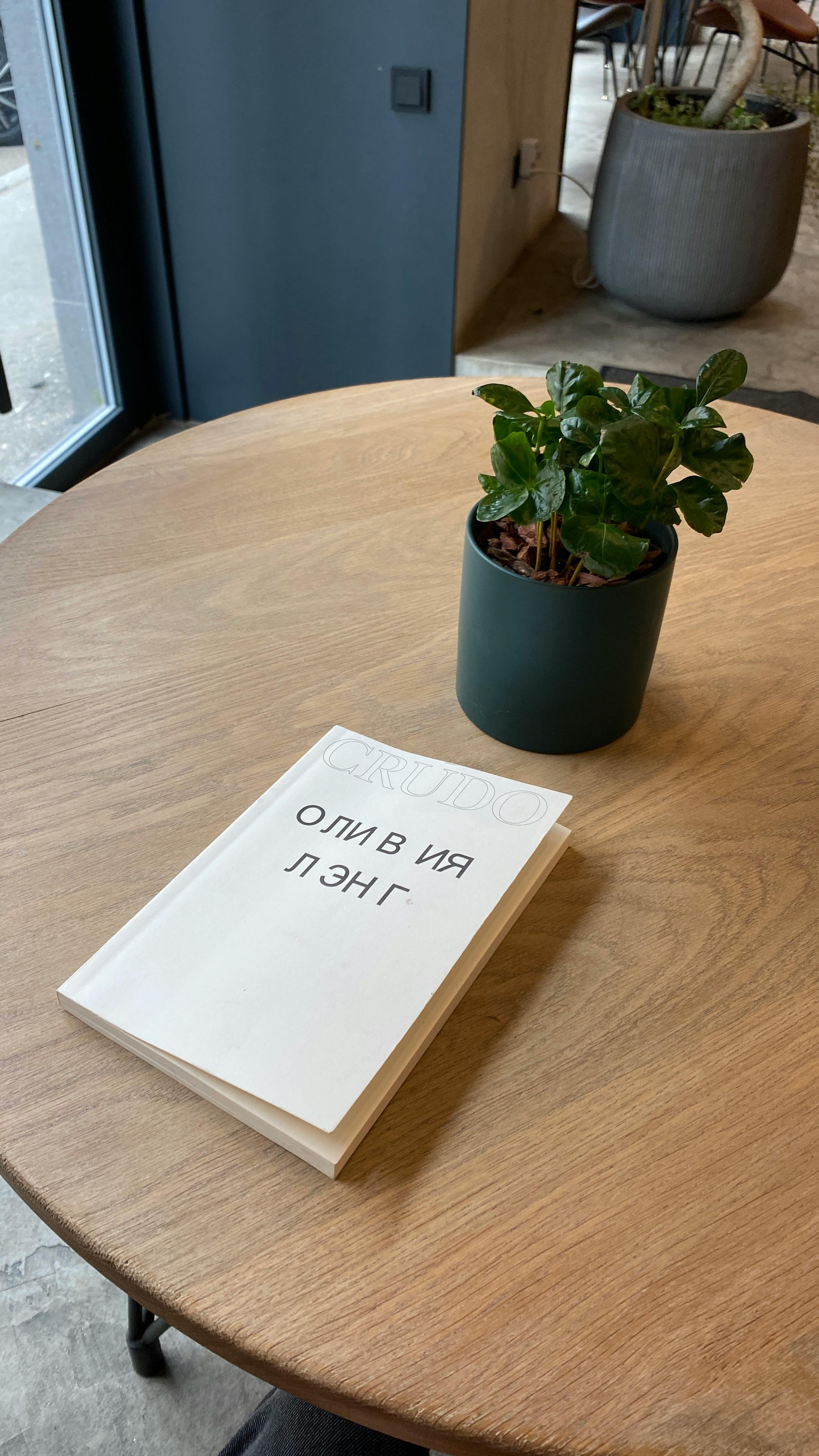 Simple composition of a book and potted plant on a wooden table, capturing minimalist style.