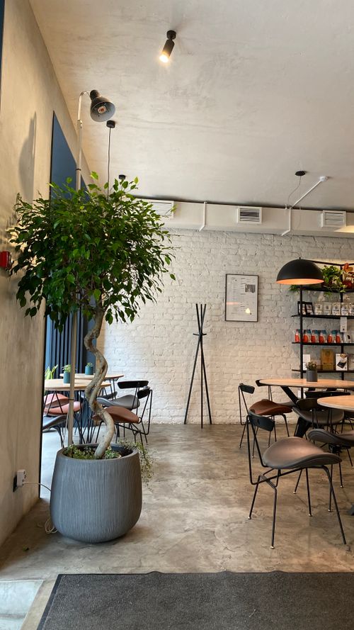 Free Inviting modern cafe interior with greenery and stylish decor in Saint Petersburg, Russia. Stock Photo