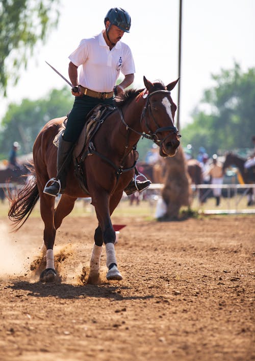 Equestrian riding a Stallion Horse