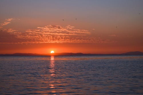 Scenic View of Sea during Sunset 