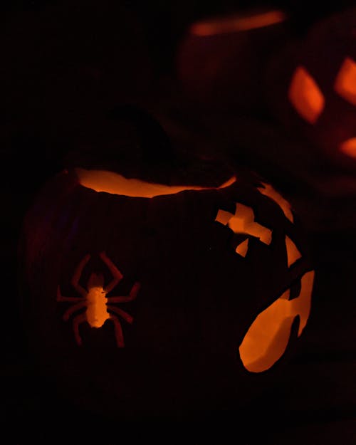 Kostenloses Stock Foto zu geschnitzter kürbis, halloween, kürbis