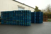 Blue Plastic Crates on Gray Asphalt Road