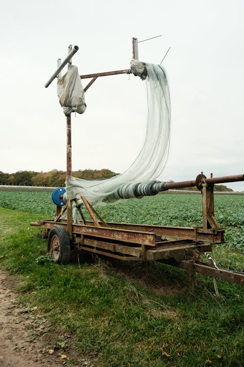 Steel Cary in the Farm