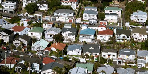 Aerial view showcasing vibrant suburban housing in Wellington, New Zealand.