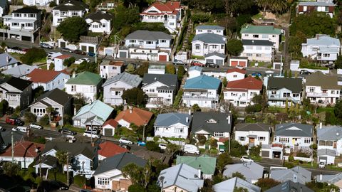 Aerial view showcasing vibrant suburban housing in Wellington, New Zealand.