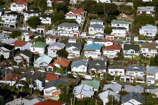 Aerial view showcasing vibrant suburban housing in Wellington, New Zealand.