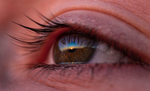 Free Persons Eye in Close Up Photography Stock Photo